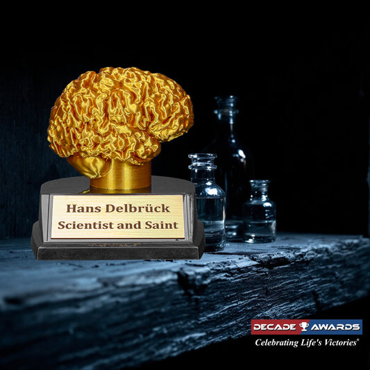 Personalized Golden Brain Trophy – 3.75 inch engraved award for trivia, STEM or academic competitions with free custom engraving by Decade Awards