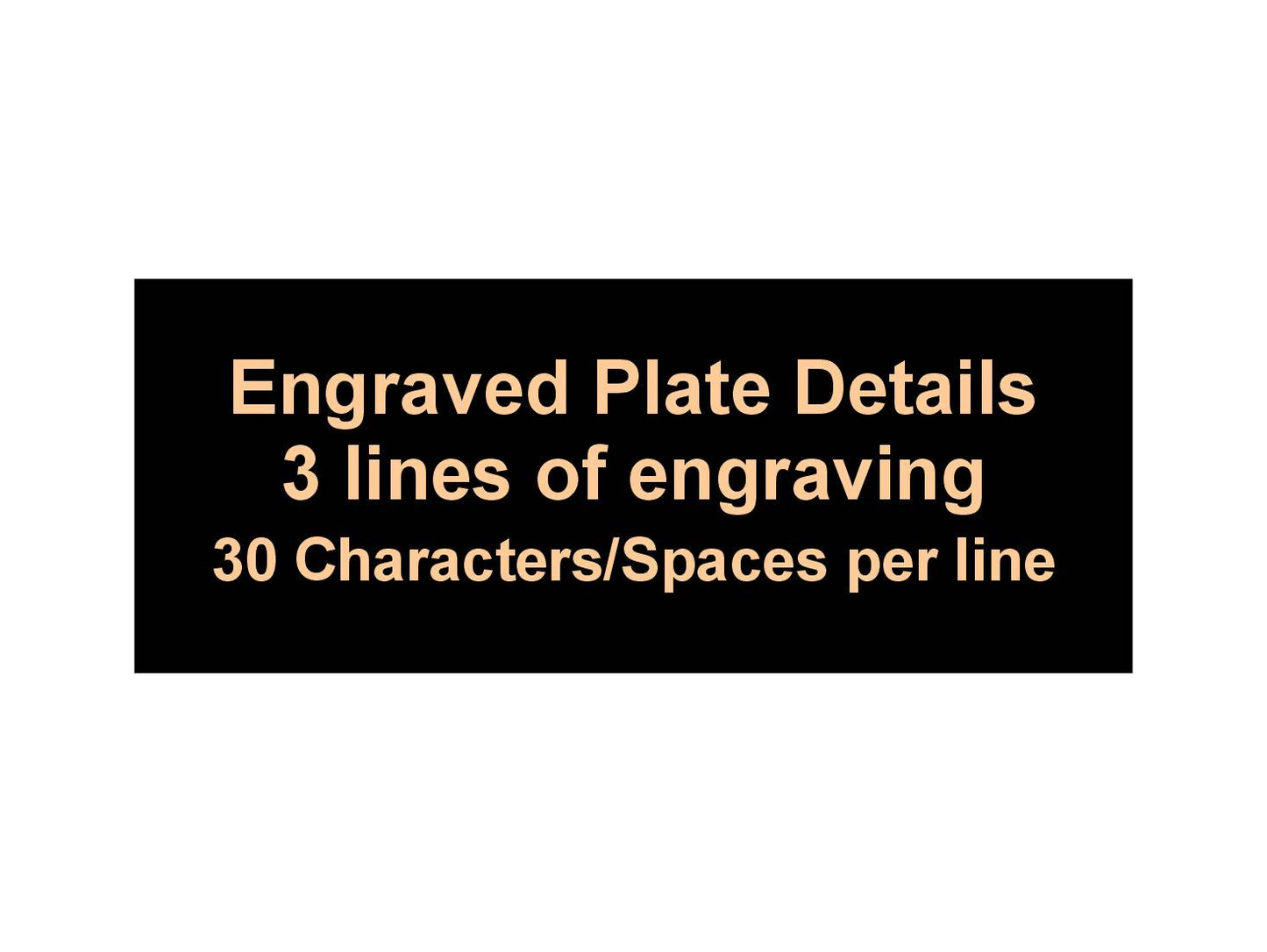 Spelling Bee Honeycomb Medal - Gold, Silver or Bronze | Engraved Spelling B Medal with Honeycomb Neckband - 3.25 Inch Wide Decade Awards