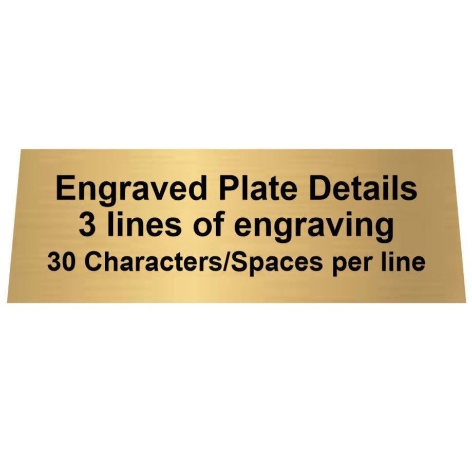 Stars Trophy | Engraved Motion X Gold Star Award - 5 Inch Tall