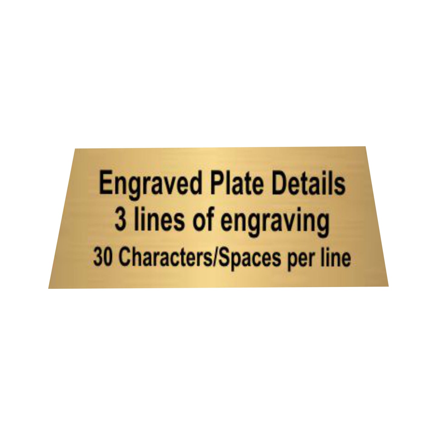 Softball Trophy | Engraved Motion X Softball Award - 5 Inch Tall