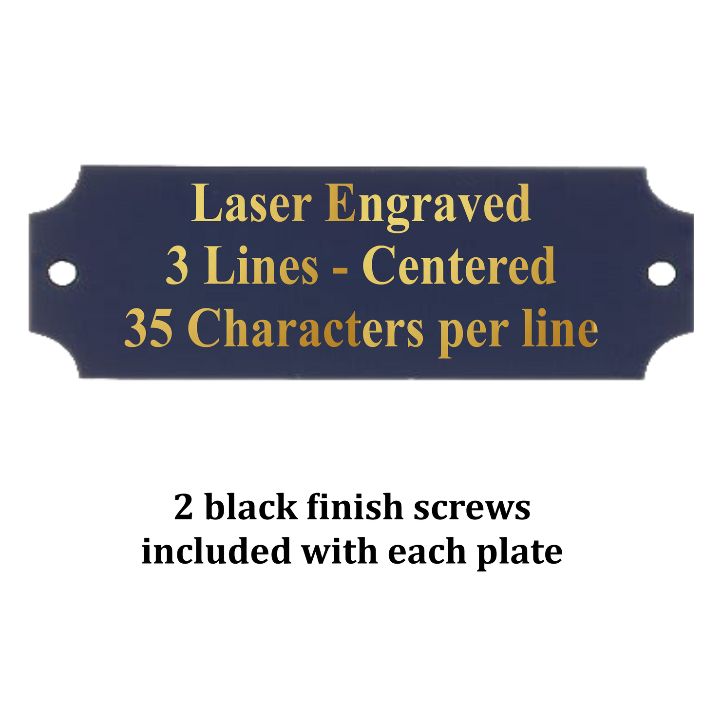 Metal Perpetual Plate | BLACK with Gold Lettering | Personalized Engraved Plate | 2 Sizes