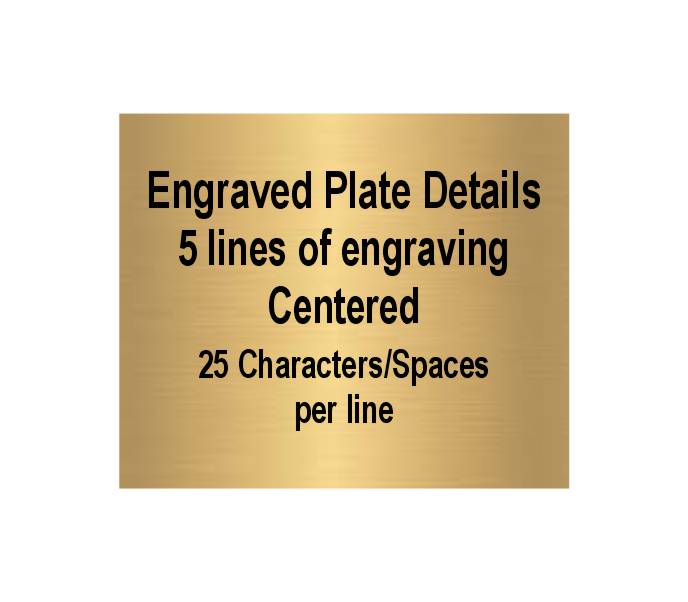 Pickleball Trophy | Engraved Pickle Ball Award - 8.375" Tall Decade Awards