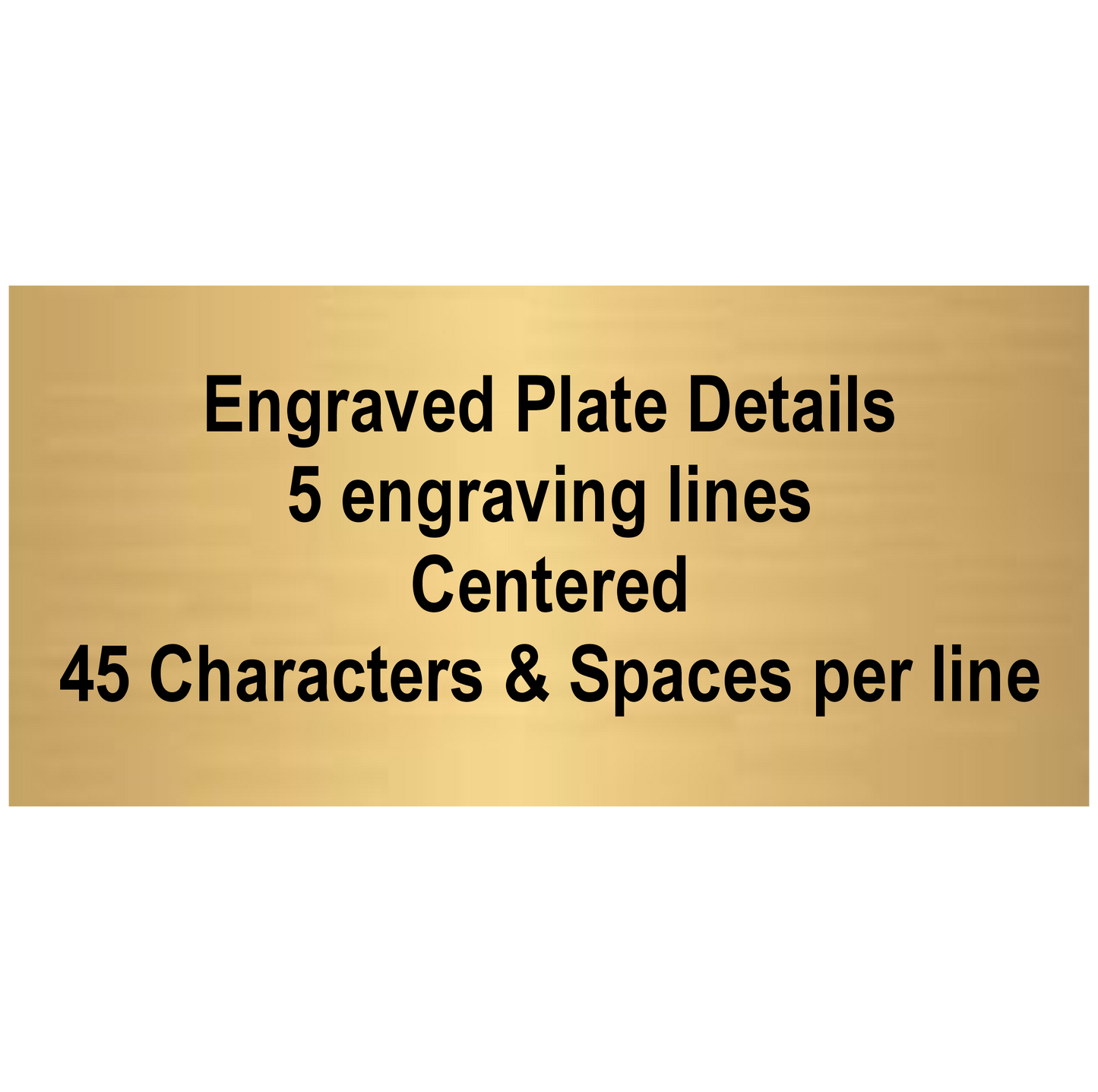 Eagle Trophy | Bronze Finish | Personalized Eagle Head Award | 6, 7, 8 or 9 Inches Tall