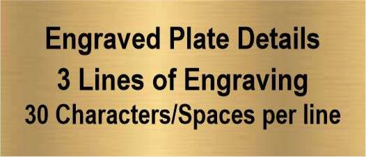 Bear Mascot Bobblehead Trophy | Engraved Grizzly Award - 6 Inch Tall Decade Awards