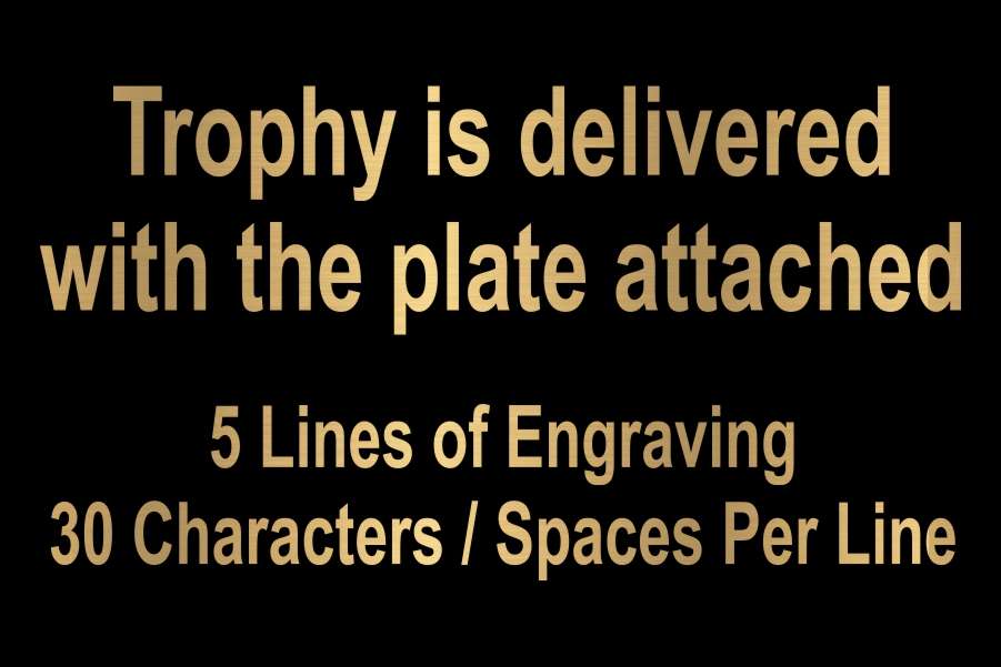 Cornhole Trophy / Engraved Bean Bag Toss Award - 7.875 Inch Tall Decade Awards