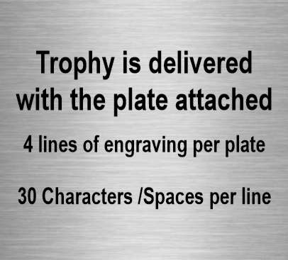 Cup Trophy - Gold/Silver or Silver/Gold | Engraved Champion's Love Cup Award - 4 Sizes Available Decade Awards