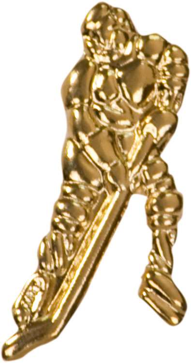 Hockey Lapel Pin | Letter Jacket Chenille Pin Decade Awards