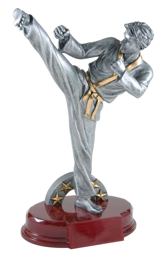 Karate Pewter Trophy | Engraved Martial Arts Award - 9.25 Inch Tall Decade Awards