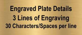 Top Sales Monster Trophy | Engraved #1 Sales Award - 6.75" Decade Awards