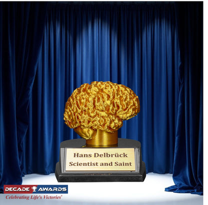 Personalized Golden Brain Trophy – 3.75 inch engraved award for trivia, STEM or academic competitions with free custom engraving by Decade Awards