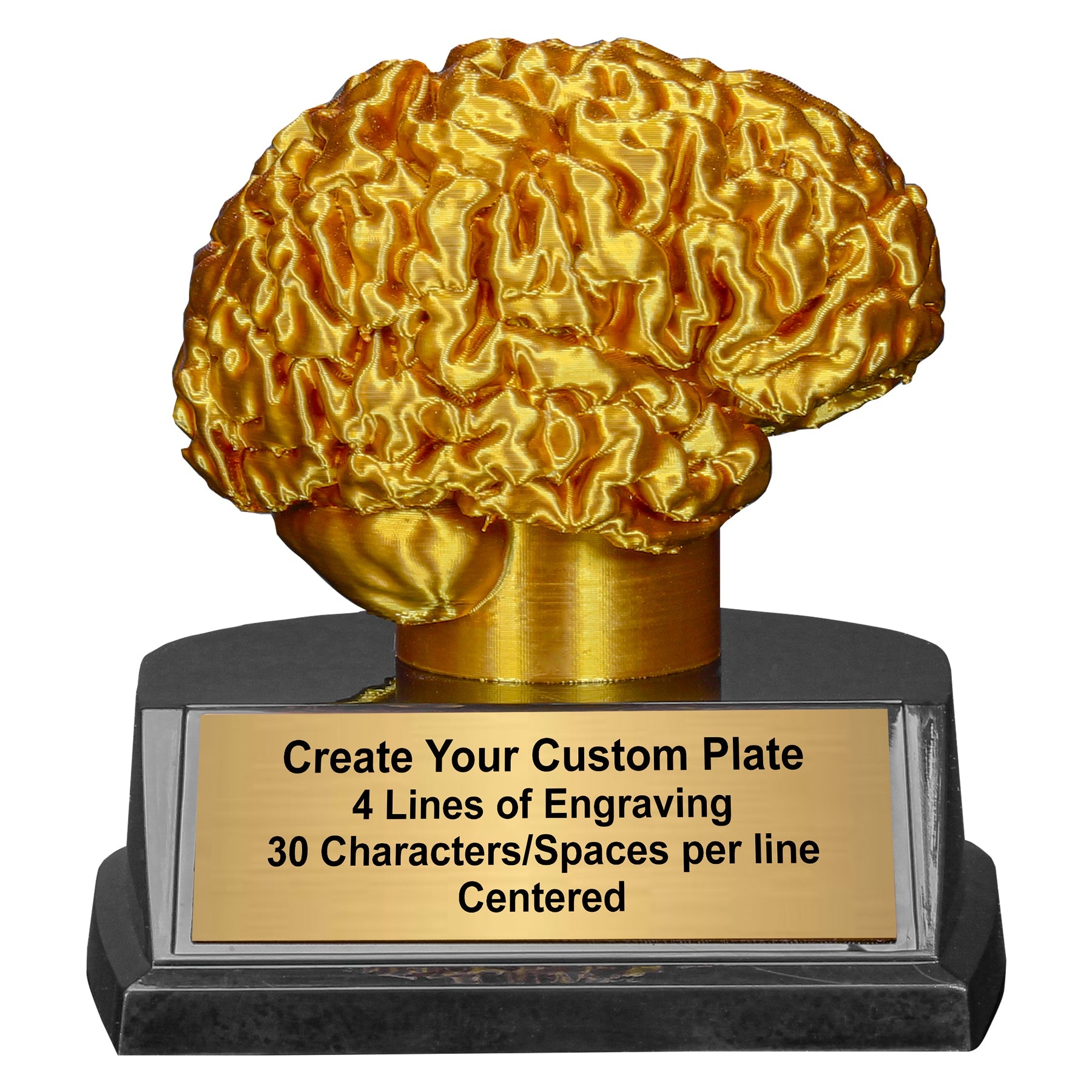 Personalized Golden Brain Trophy – 3.75 inch engraved award for trivia, STEM or academic competitions with free custom engraving by Decade Awards