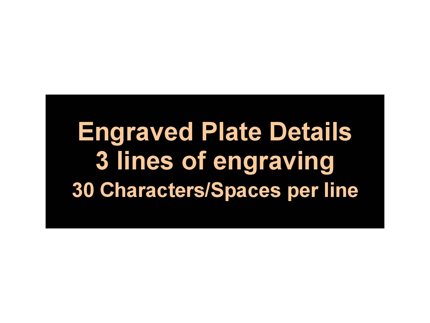 Spelling Bee Honeycomb Medal - Gold, Silver or Bronze | Engraved Spelling B Medal with Honeycomb Neckband - 3.25 Inch Wide Decade Awards