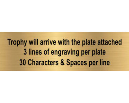 Softball Sport Motion All Star Column Trophy - 14 Inch Tall Decade Awards