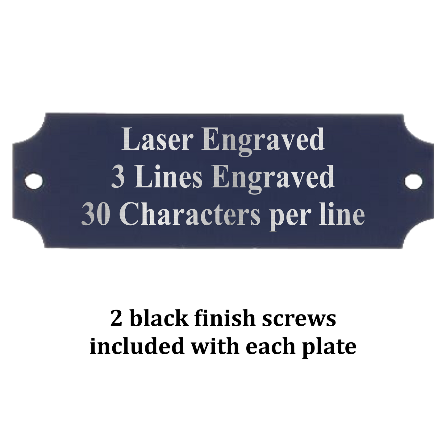 Metal Perpetual Plate | BLACK with Silver Lettering | Personalized Engraved Plate | 2 Sizes