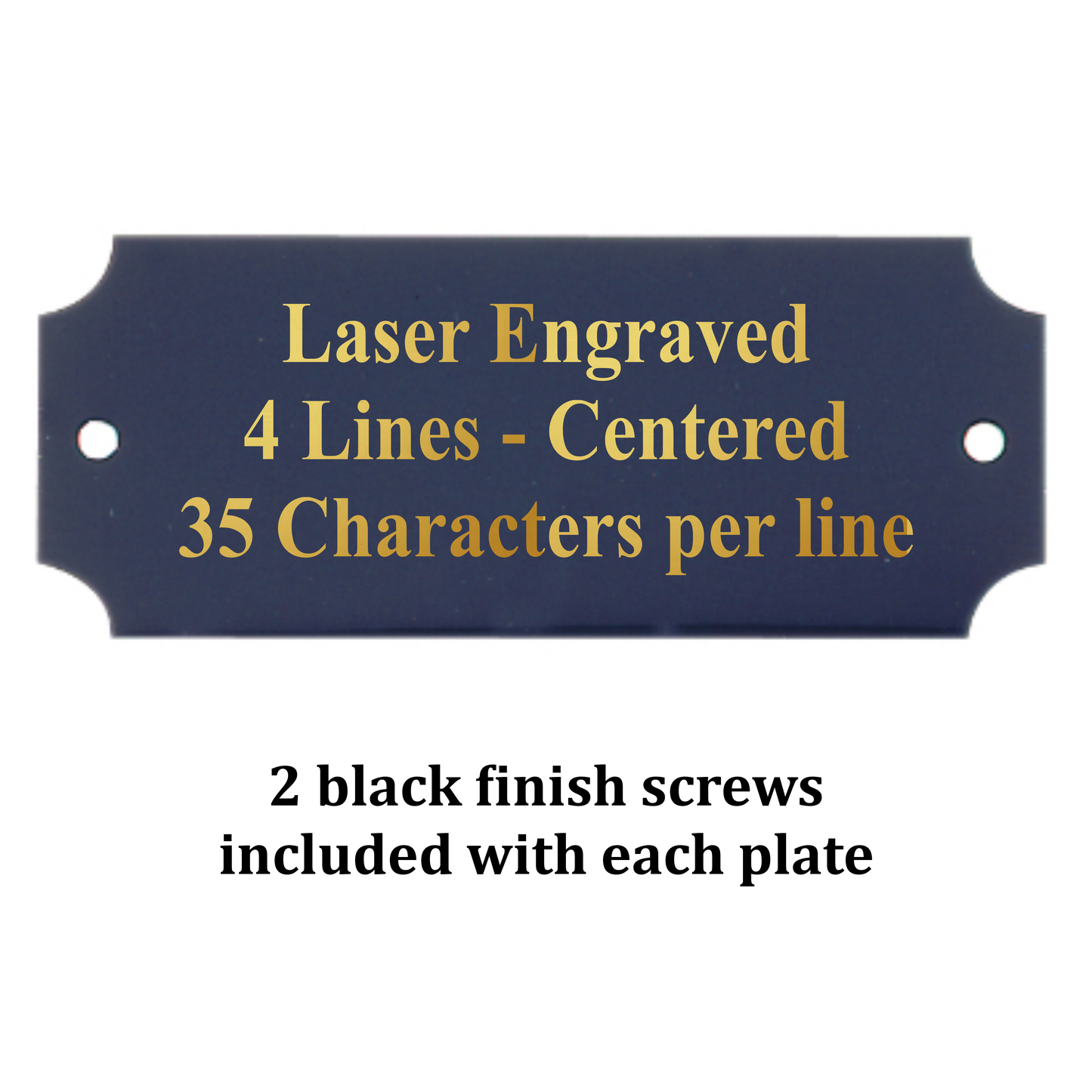 Metal Perpetual Plate | BLACK with Gold Lettering | Personalized Engraved Plate | 2 Sizes