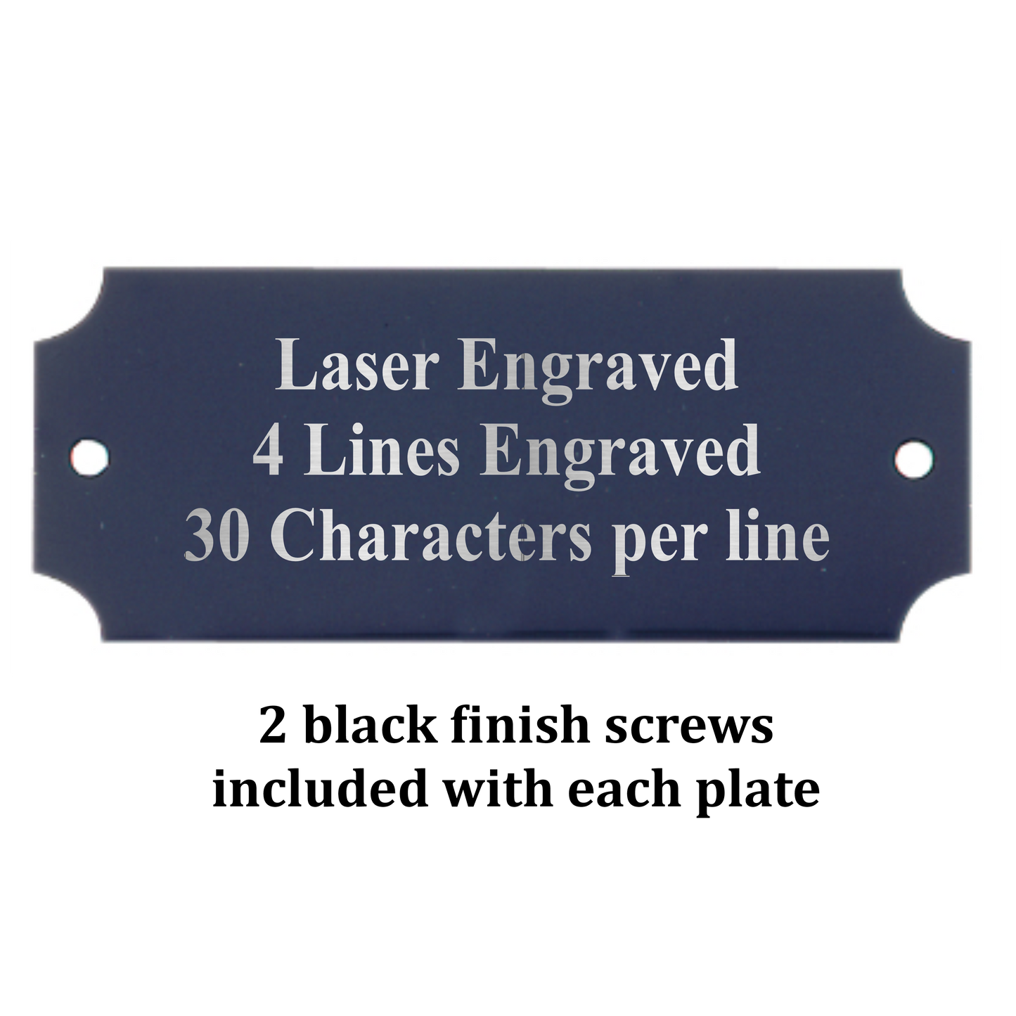 Metal Perpetual Plate | BLACK with Silver Lettering | Personalized Engraved Plate | 2 Sizes