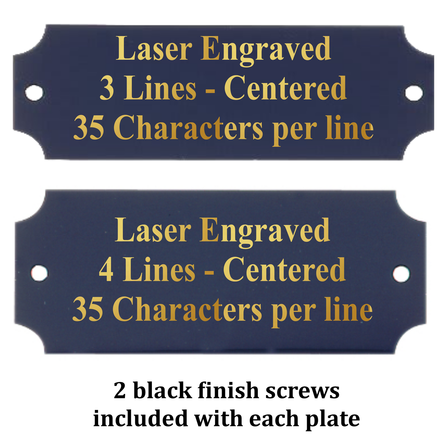 Metal Perpetual Plate | BLACK with Gold Lettering | Personalized Engraved Plate | 2 Sizes