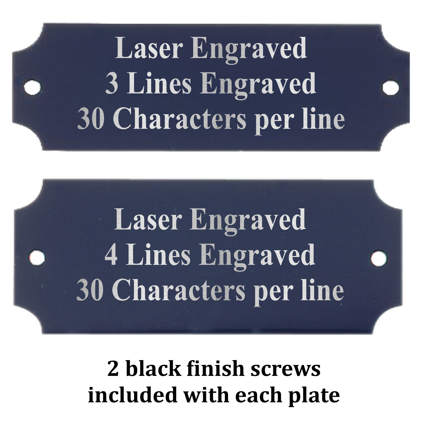 Metal Perpetual Plate | BLACK with Silver Lettering | Personalized Engraved Plate | 2 Sizes