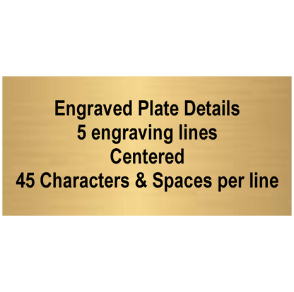 Eagle Trophy | Bronze Finish | Personalized Eagle Head Award | 6, 7, 8 or 9 Inches Tall