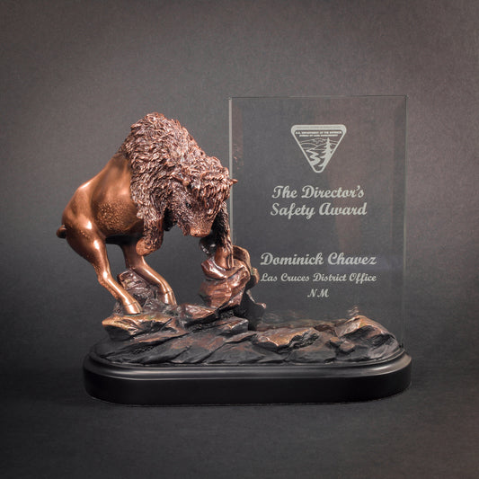 Buffalo Story Glass Award | Customized Recognition Award - 8 x 9.5 Inch Tall Decade Awards