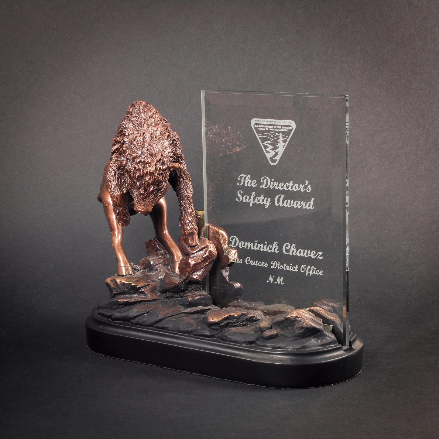 Buffalo Story Glass Award | Customized Recognition Award - 8 x 9.5 Inch Tall Decade Awards