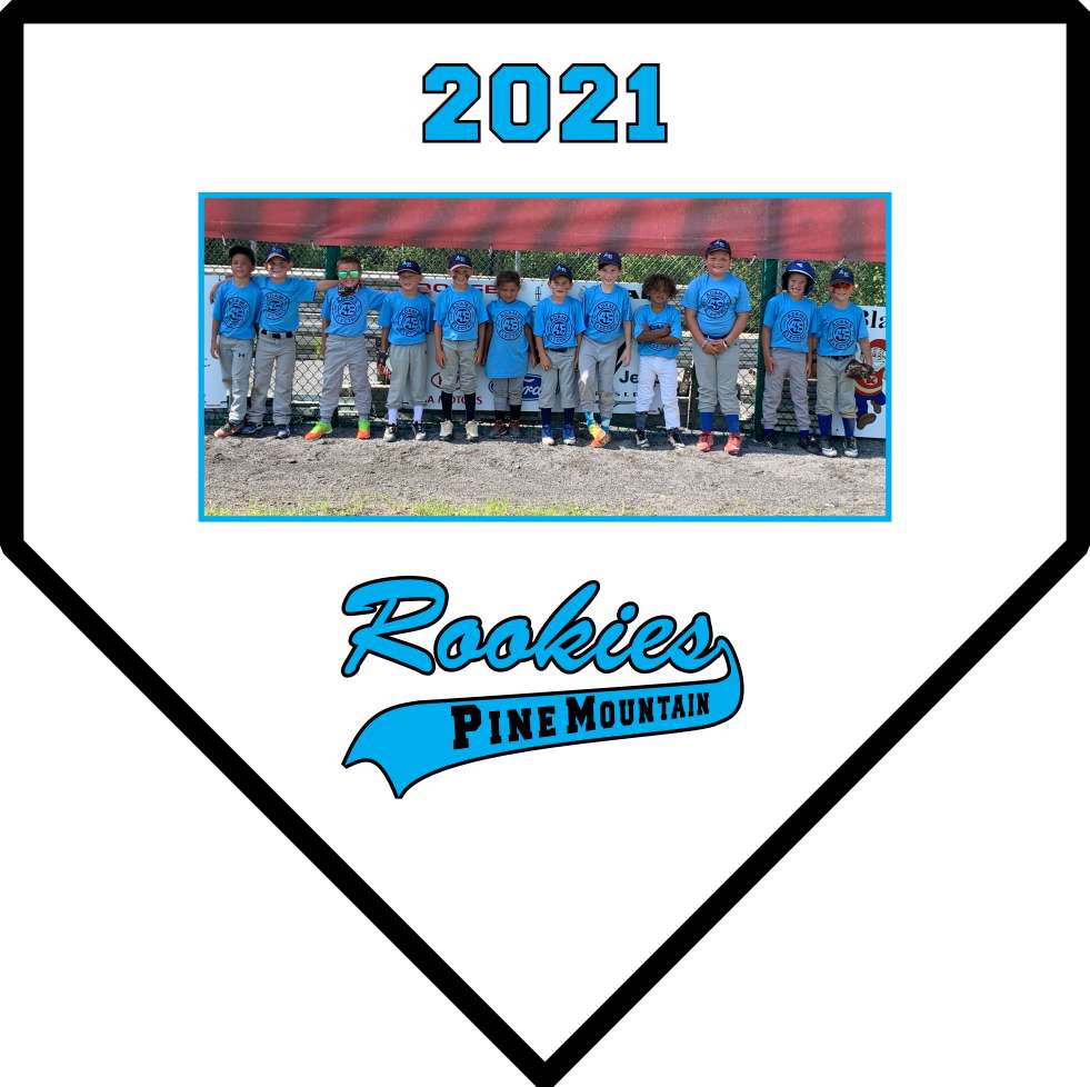 Baseball Home Plate Picture Plaque | Personalized Photo Plaque | 6x6 or 10x10
