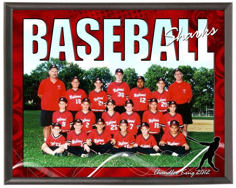 Baseball Team Plaque SV4-T01 - Personalized Decade Awards