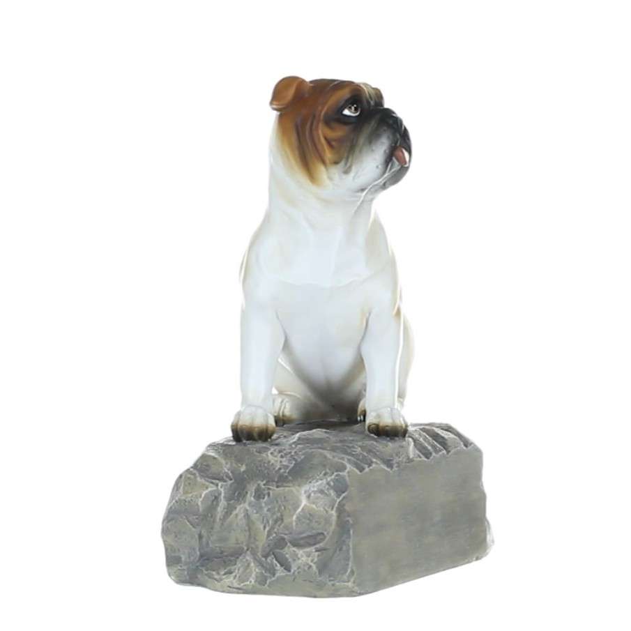 Bulldog Mascot Trophy | Engraved Bull Dog Award - 6" Decade Awards