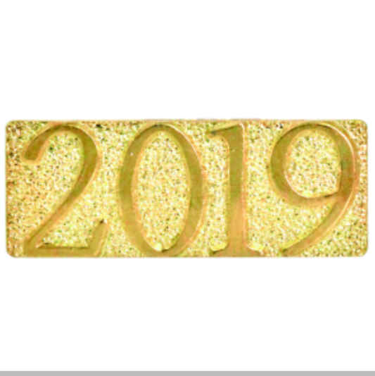 2019 Lapel Pin | 2019 Letter Jacket Chenille Pin