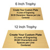 Gold Fantasy Football Trophy with contrasting silver laces and Champion shield – Custom engraved FFL winner award from Decade Awards