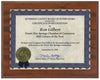 Certificate Holder / Frame - Cherry Finish - 10.5" x 13" Decade Awards