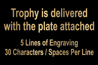 Cornhole Trophy / Engraved Bean Bag Toss Award - 7.875 Inch Tall Decade Awards