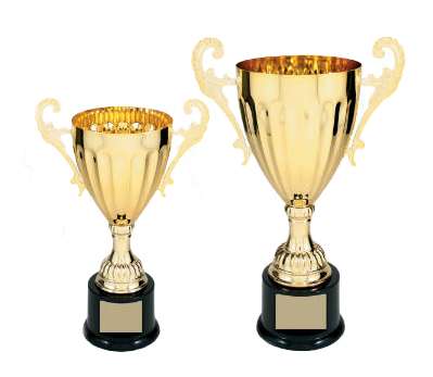 Cup Trophy Grand Victory - Gold or Silver | Engraved Grand Victory Cup Award -  Decade Awards
