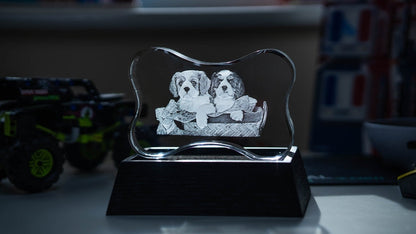 3D Crystal Custom Photo Gift – Dog Bone Crystal Cube Decade Awards