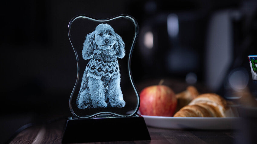 3D Crystal Custom Photo Gift – Dog Bone Crystal Cube Decade Awards