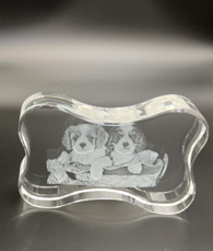 3D Crystal Custom Photo Gift – Dog Bone Crystal Cube Decade Awards
