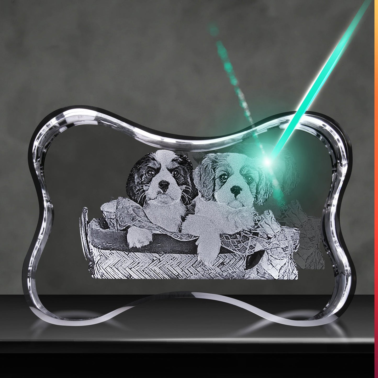 3D Crystal Custom Photo Gift – Dog Bone Crystal Cube Decade Awards