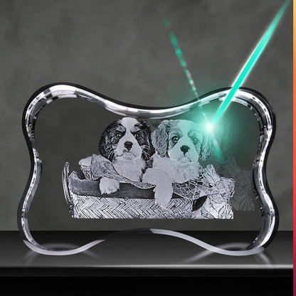 3D Crystal Custom Photo Gift – Dog Bone Crystal Cube Decade Awards