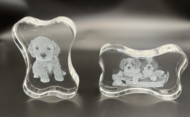 3D Crystal Custom Photo Gift – Dog Bone Crystal Cube Decade Awards