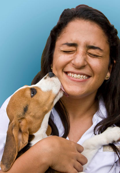 3D Subsurface Crystal Vertical Rectangle Crystal Award Decade Awards