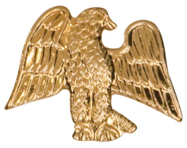 Eagle Lapel Pin | Letter Jacket Chenille Pin - EAGLE Decade Awards