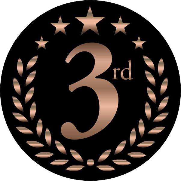 Female Champion Trophy - 3rd Place | Engraved Woman Warrior Third Place Award - 6.75 Inch Tall Decade Awards