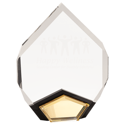 Marquis Acrylic Trophy | Blue, Gold or Red | Personalized Corporate Award | 8 or 9 Inches Tall