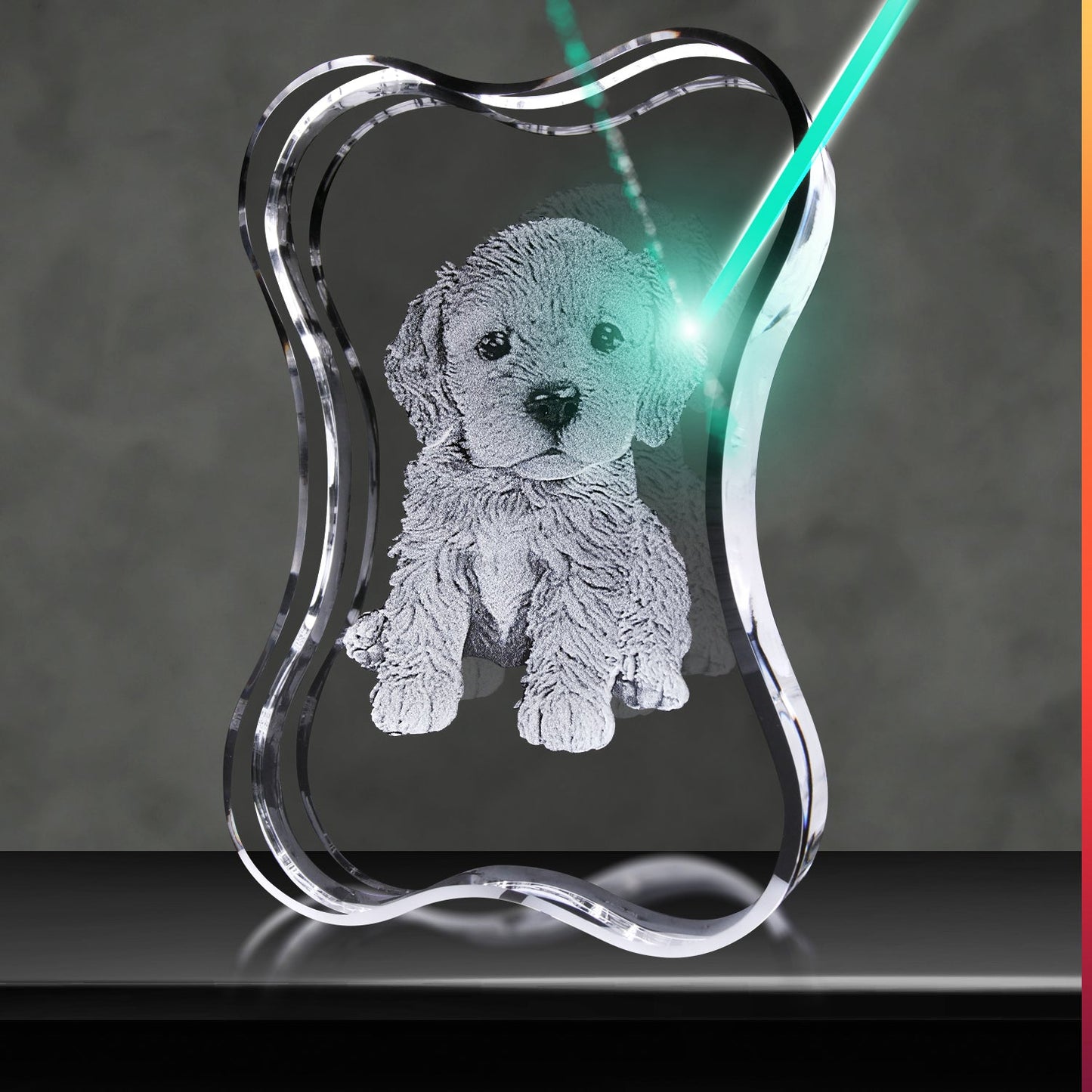 3D Crystal Custom Photo Gift – Dog Bone Crystal Cube Decade Awards