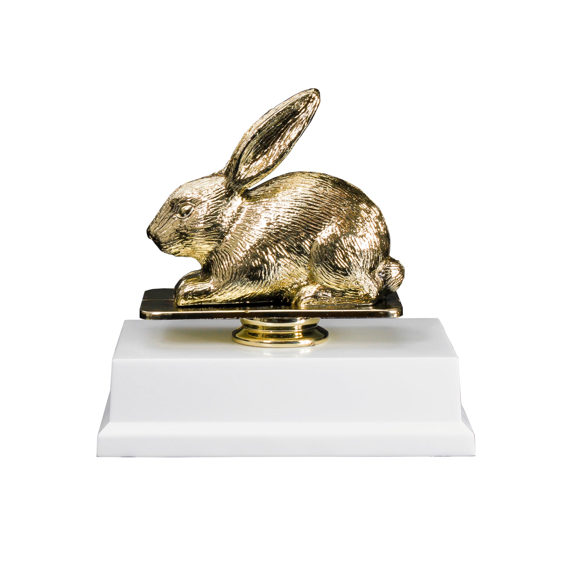 Golden Bunny Trophy – 6.5 Inch Tall
Perfect for Spring & Easter Celebrations Decade Awards