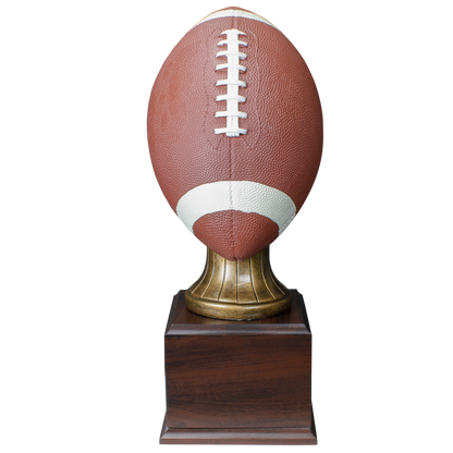 Personalized Football Trophy | Full Size Color Resin Football Award | 15 Inches Tall