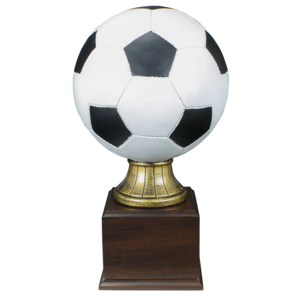Personalized Soccer Trophy | Full Size Color Soccer Ball Award | 14.5 Inches Tall