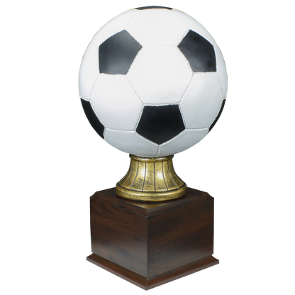 Personalized Soccer Trophy | Full Size Color Soccer Ball Award | 14.5 Inches Tall