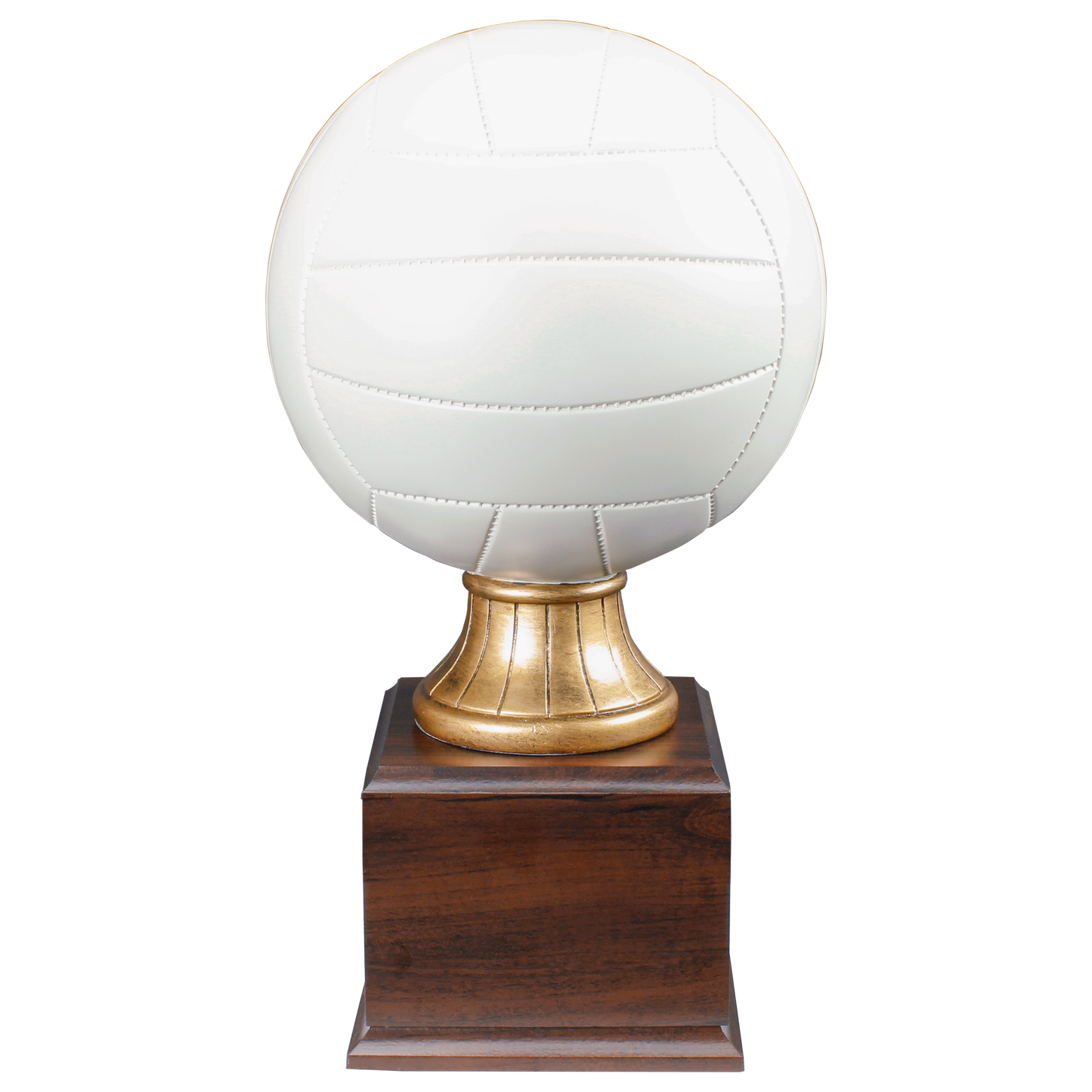 Personalized Volleyball Trophy | Full Size Color Resin Volleyball Award | 14.5 Inches Tall