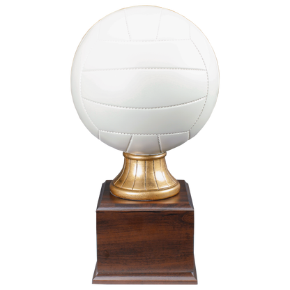 Personalized Volleyball Trophy | Full Size Color Resin Volleyball Award | 14.5 Inches Tall